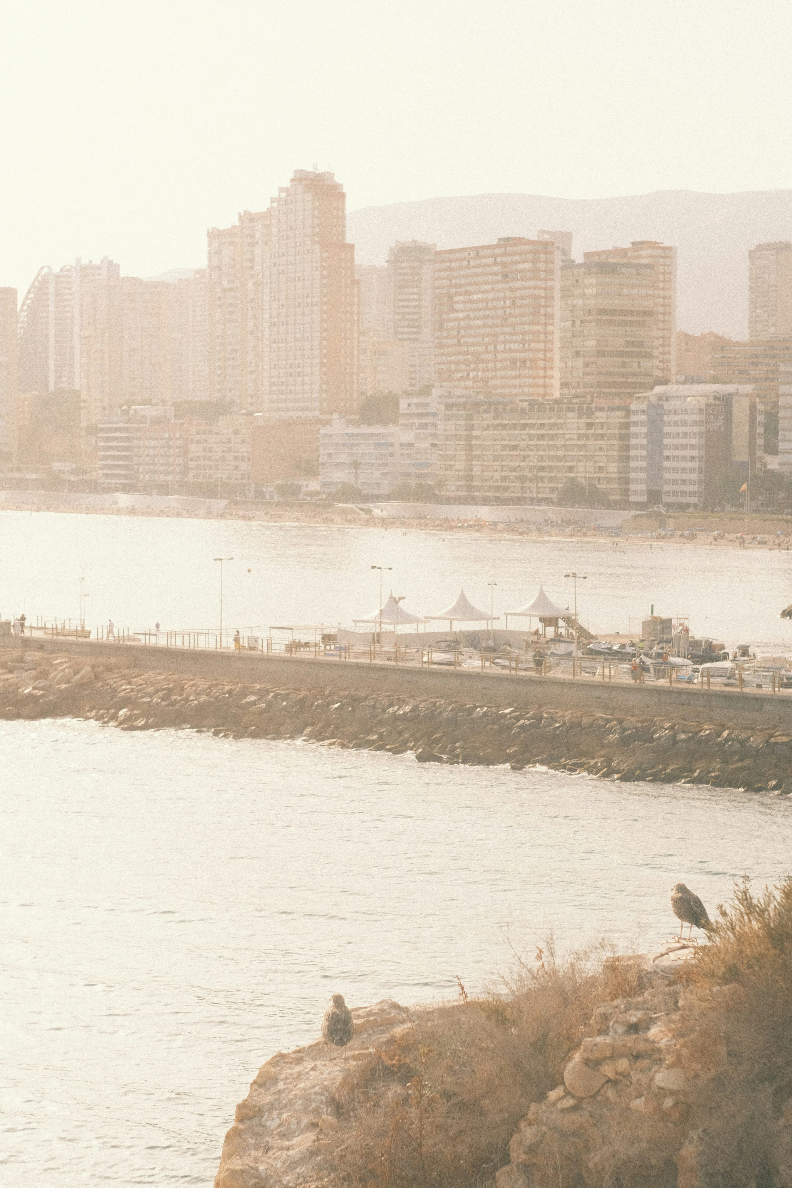 Skyline de Benidorm con la playa de Levante, Costa Blanca